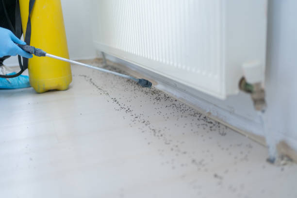 Best Pest Prevention Services  in Shinglehouse, PA