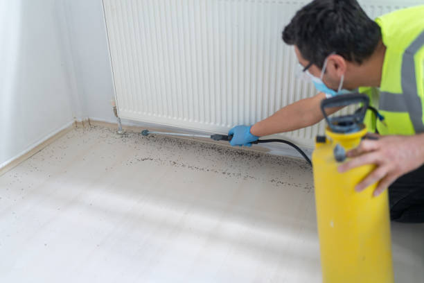 Best Pest Removal Services  in Shinglehouse, PA