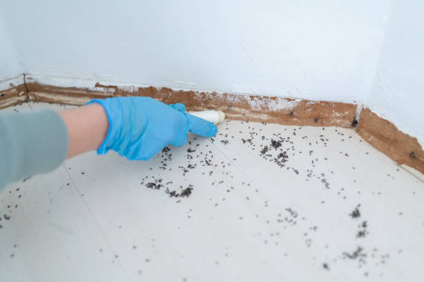 Best Best Pest Control Companies  in Shinglehouse, PA