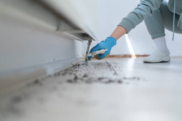 Best Mosquito Control Services  in Shinglehouse, PA
